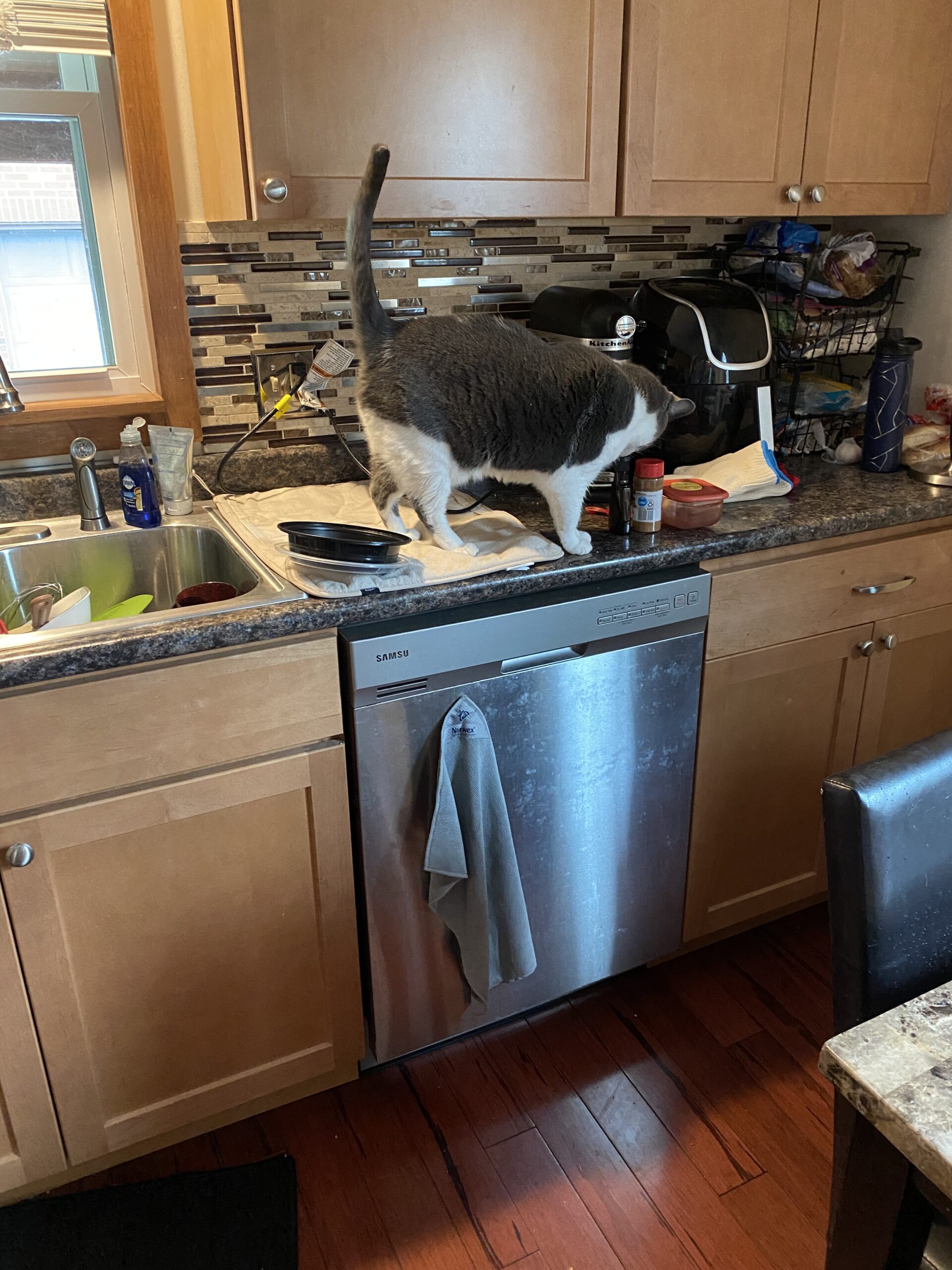 Samsung DW7933LRASR dishwasher with flashing indicators, repaired by clearing obstruction in case brake water level sensor.