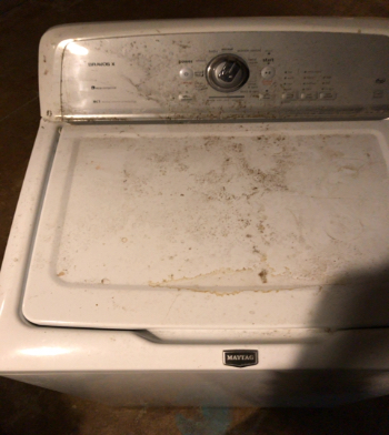 Image of Maytag washer model MVWX550XW1 successfully repaired in Hartville, Ohio.