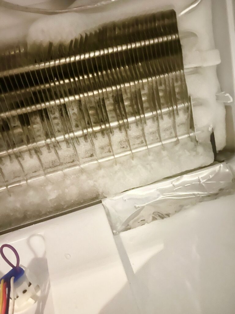 GE refrigerator (GBE21DSKPRSS) — Canton, OH